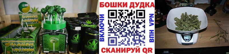 blacksprut   Волхов  Canna-Cookies конопля 