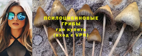 a pvp Алексин