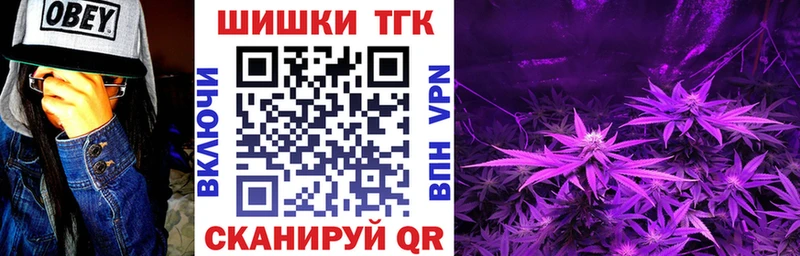 где купить наркоту  Волхов  Шишки марихуана планчик 
